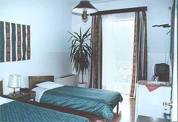 Hotel Vouzas Delphi Zimmer foto